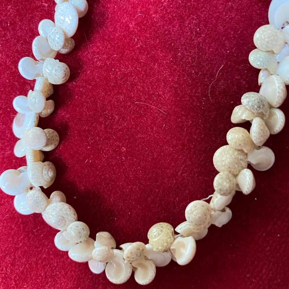 Shell necklace - Picture 6 of 6